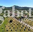 Appartamento Scarlino [024/S024Vrg]