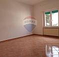 Appartamento - Cecina