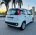 Fiat Panda 1.2 69Cv Easy