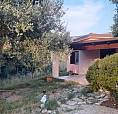 Bilocale Con Giardino Sul Mare Cirella