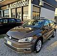 Volkswagen Golf Variant 1.6 Tdi Business 116Cv
