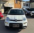 Fiat Panda Km Zero 1.0 Hybrid My24 Promo Fin