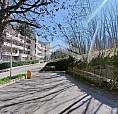 Appartamento - Campobasso