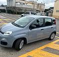 Vendita Fiat Panda