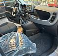 Fiat Panda 1.0 Firefly Hybrid -Pronta Consegna N
