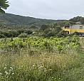 Suggestivo Appartamento Al Piano Terra Con Giardin