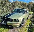 Mustang 4.0 V6 205Cv 2006