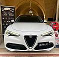 Alfa Romeo Stelvio 2.2 Rwd 190Cv At8 Tetto Navi Ca