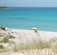 Oasi Di Capo Comino (Sardegna)