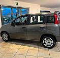 Fiat Panda 1.0 Firefly Hybrid 70 Cv