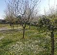 Rif. Pa154562Mr Bicamere P.terra
