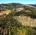 Se140-Serrazzano-Podere Con 50 Ettari Di Terreno