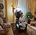 Appartamento - Cecina