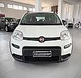 Fiat Panda 1.0 Hybrid City Life