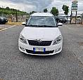 Skoda Roomster 1.6 Tdi Cr 105Cv Elegance