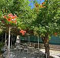 Appartamento Con Giardino Nel Comune Di Toro