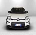 Fiat Panda 1.0 Firefly Hybrid S&S 70Cv
