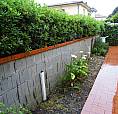 Cecina Mare, Casina C2 Indipendente Con Giardino