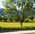 Trilocale Sestola