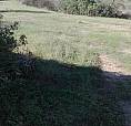 Budoni Terreno Edificabile Centralissimo Mq 3700