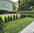 Via Magnus - Ortwein: Trilocale Ristrutturato Con