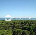 Rif.ap41_7| Appartamento Trilocale
