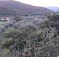 Rif.aa-A58| Appartamento Castiglione Della Pescai