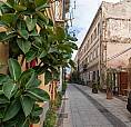 Via Piccioni - Piano Terra Con Cortile Privato