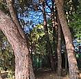 Piccola Casa In Pineta A 2 Km Dalla Spiaggia
