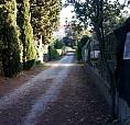 Altro - Piombino
