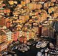 Camogli Prima Collina - Appartamento Con Spazi Est