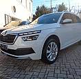 Skoda Kamiq 1.0 Tsi 110 Cv Dsg Style