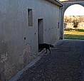 Fabbricato Località Barbone