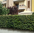 Appartamento Zona Toano
