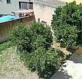 Semi Indipendente Con Giardino In Centro