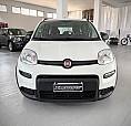 Fiat Panda 1.0 Hybrid City Life 70Cv