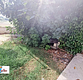 Soluzione Indipendente Con Giardino