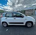 Fiat Panda 1.2 Benzina Allestimento Easy