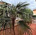 Appartamento Follonica [025/F051Vrg]