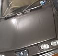 Alfetta Quadrifoglio Oro