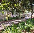 1º Ult.piano Indip.te 264Mq+Giardino+Terrazza