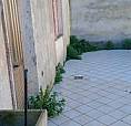 Casa Indipendente Con Garage E Giardino