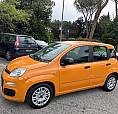 Fiat Panda 1.0 Hybrid Neopatentati 45 Mila Km 2021