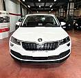 Skoda Karoq 2.0 Tdi Evo Scr 115 Cv Dsg Executive
