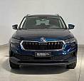 Skoda Karoq 2.0 Tdi Evo Scr 115 Cv Dsg Executive