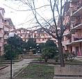 Appartamento A Montalto Uffugo Settimo