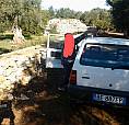 Fiat Panda 1ª Serie - 1999