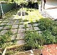 Ampio Appartamento Con Terrazzo E Giardino