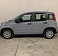 Fiat Panda Firefly Hybrid No Vincoli Finanziari