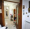 Appartamento Foggia [Cod. Rif 3278962Vrg]